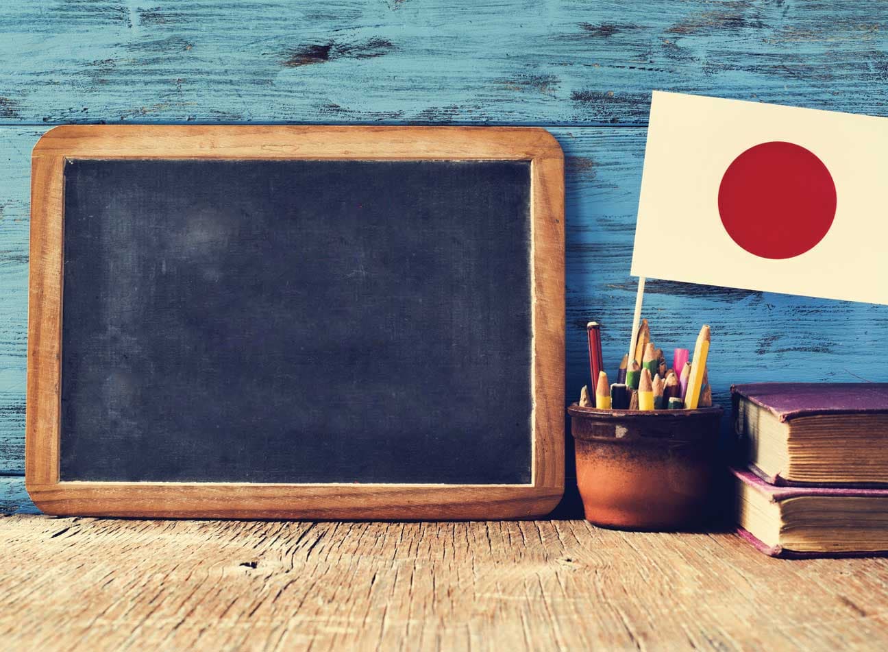 知識の探求！